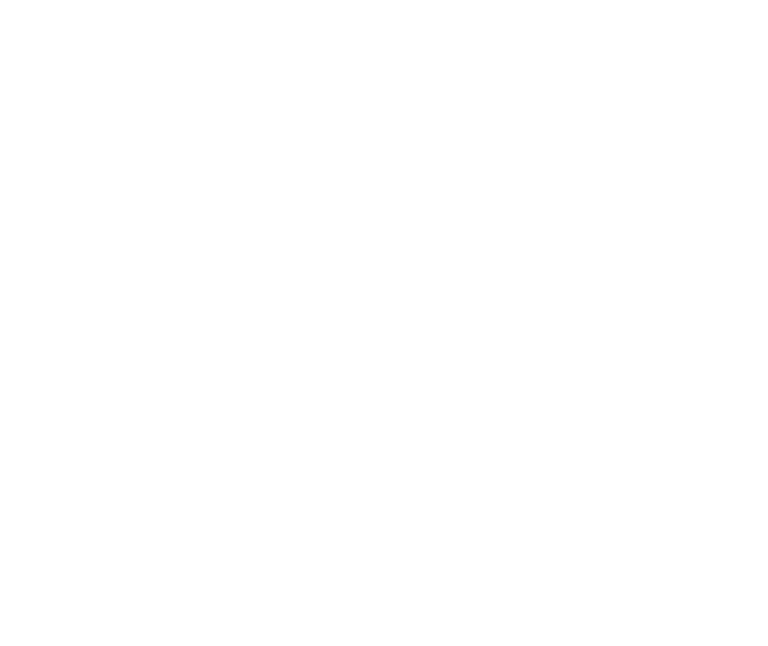 Giant Car Boot Guidelines light