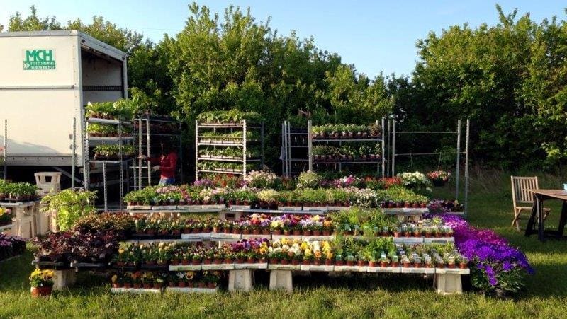 More Plants
